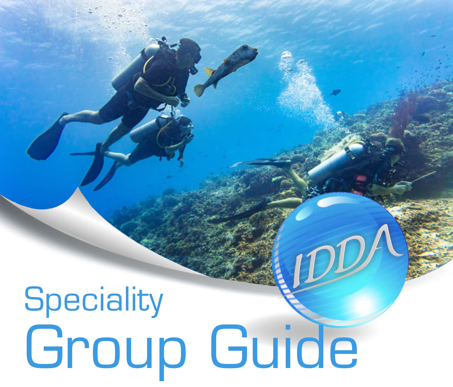 Group Guide