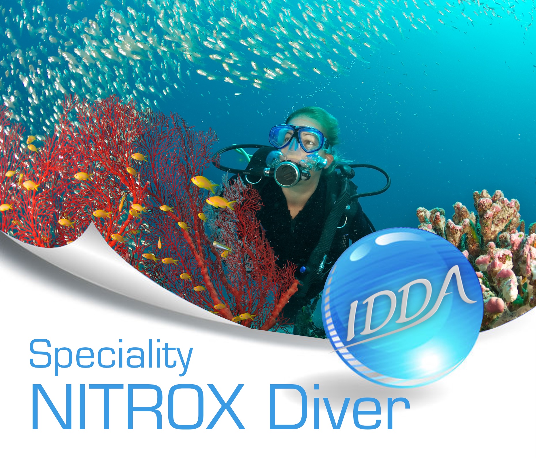 Nitrox Diver