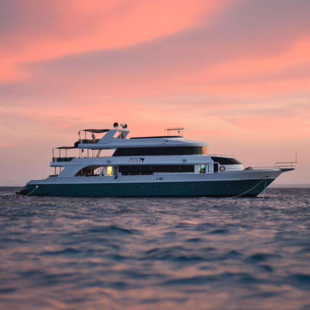 Safariboot auf dem Meer, Sonnenuntergang