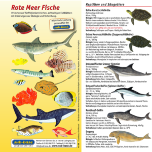 Fischkartenset Rotes Meer