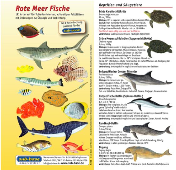 Fischkartenset Rotes Meer